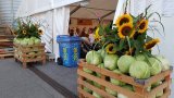 Chabisfest Mühlethurnen